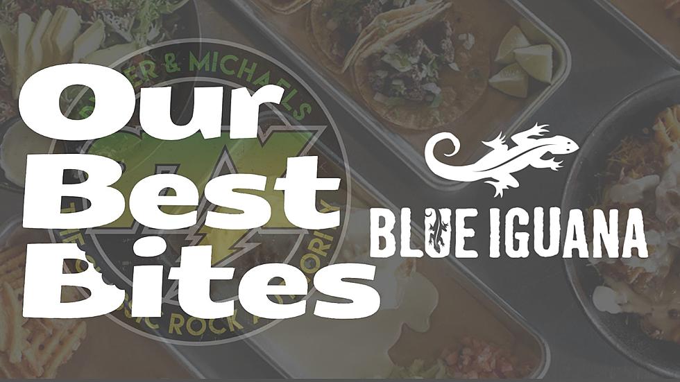 Our Best Bites: Blue Iguana