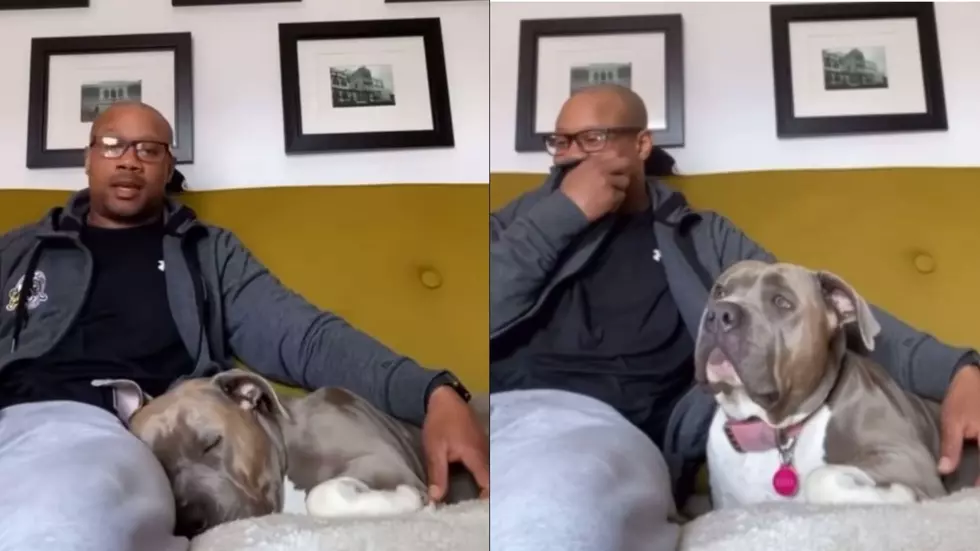 Dog Only Wakes Up When His Owner Says the Magic Word