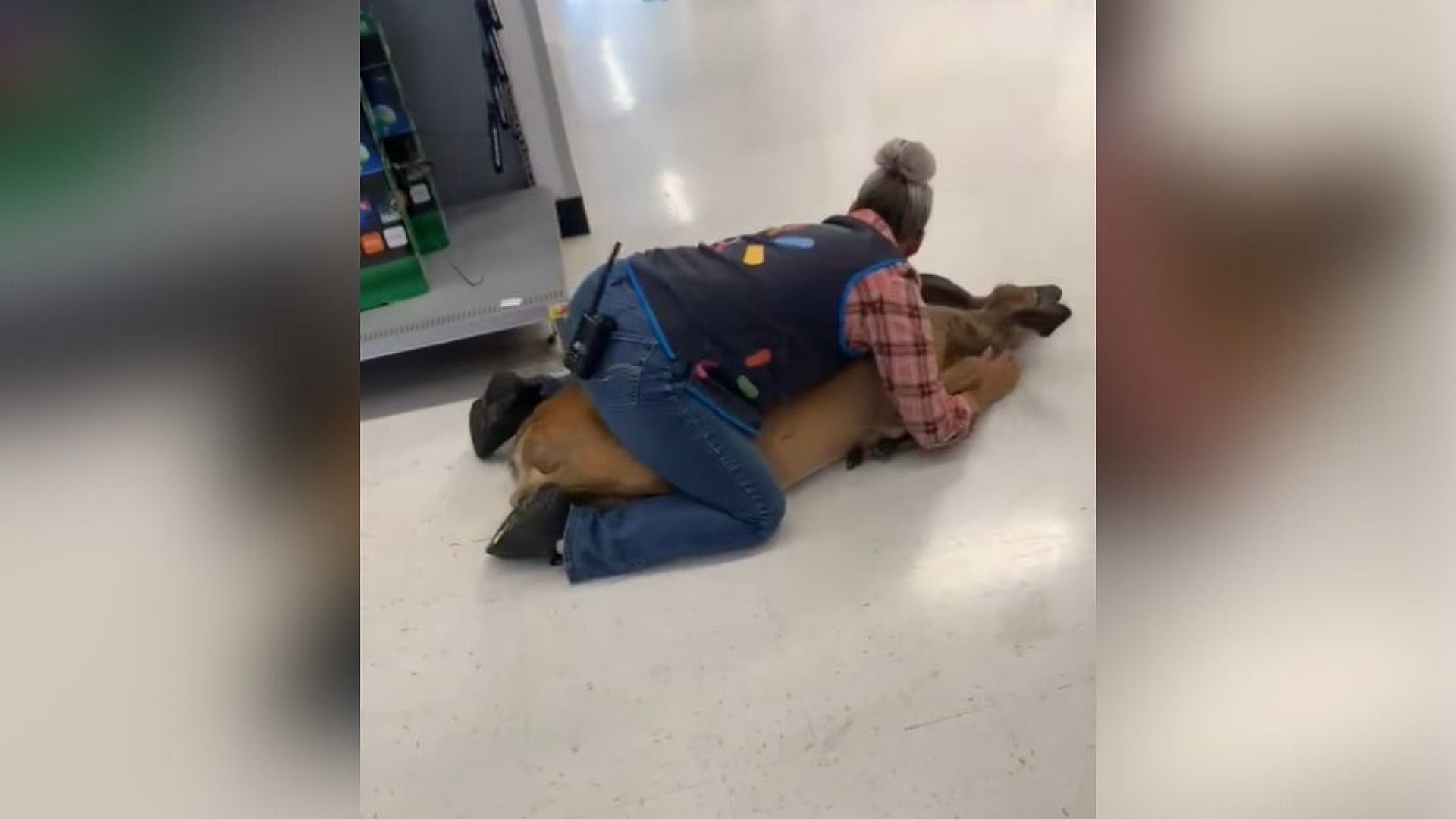 Wisconsin Walmart Employee Tackles Deer In Store picture