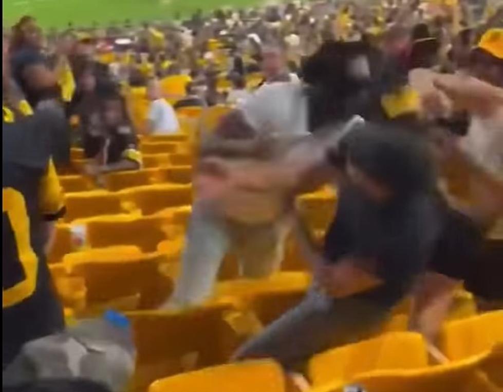 Another Knockout Fight at a Football Game