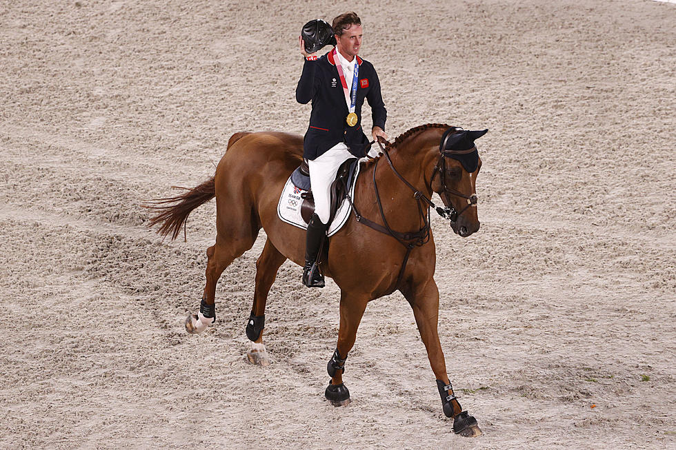 How Do The Horses Get To The Olympics?