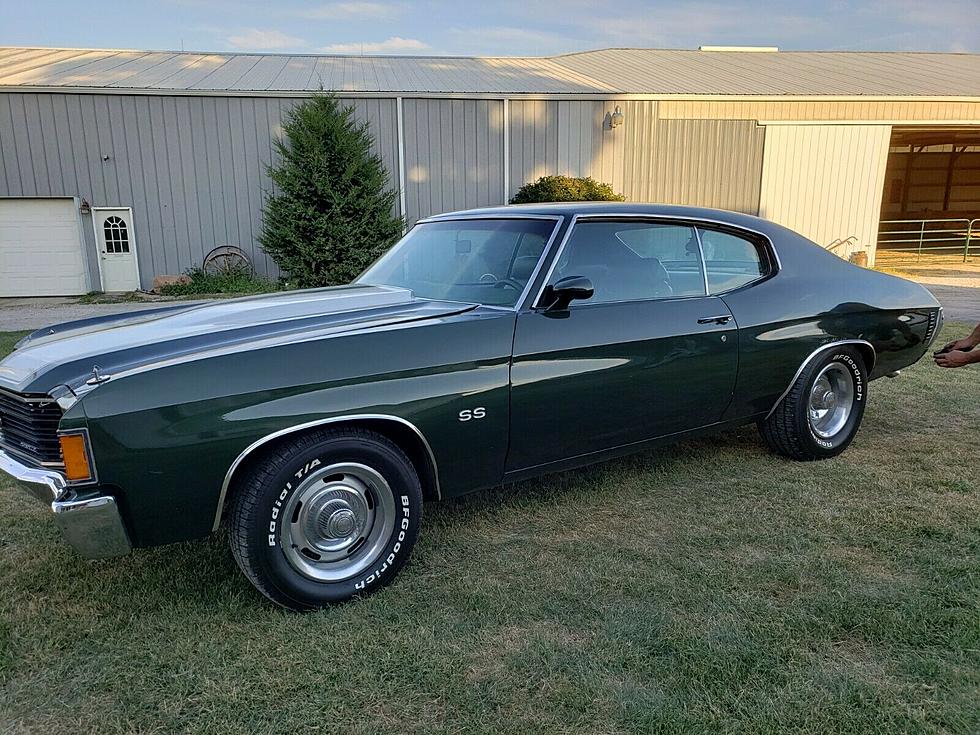 Beautiful Classic Car Up For Auction, Proceeds Benefit Quad City Animal Welfare Center