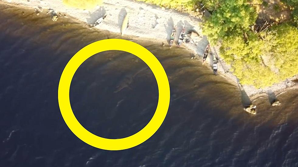 The Loch Ness Monster Got Caught On Drone Footage