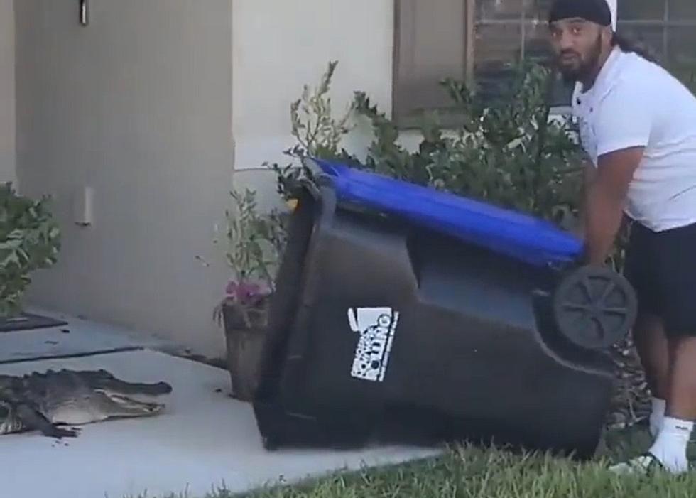 VIDEO: Guy Catches An Alligator With His Trash Can Like It Happens All The Time