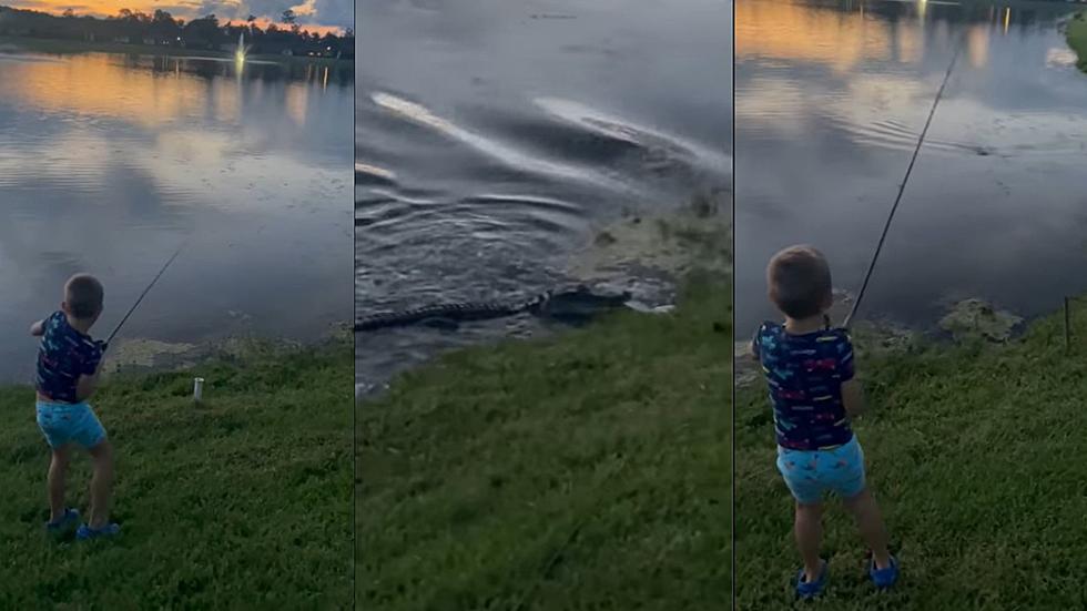 VIDEO: Florida Kid&#8217;s Fish and Rod Snatched By Gator