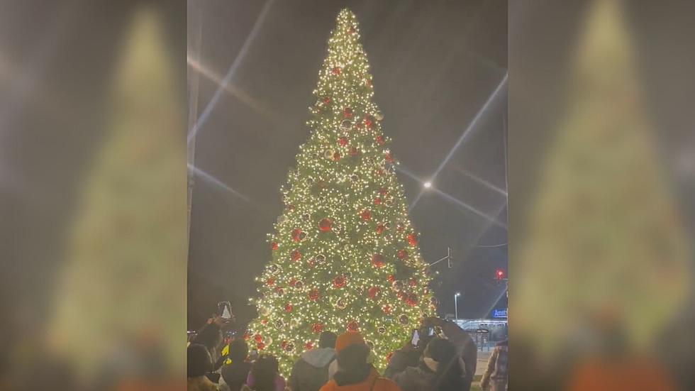 Chicago Christmas Tree Has Been Destroyed Every Year Since It Started