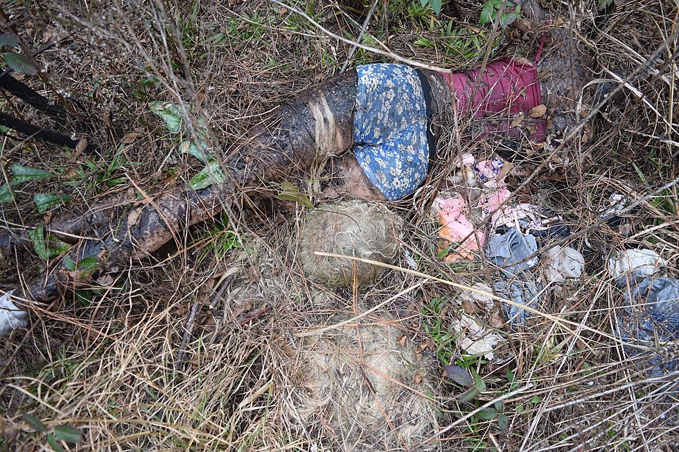 Police Discover ‘Body’ In Woods, Turns Out To Be “Life-Sized Doll Complete With Accessories”