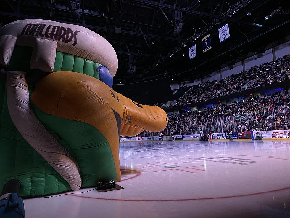 Quad City Mallards Reunion Game Raised Nearly $90,000 For Charity