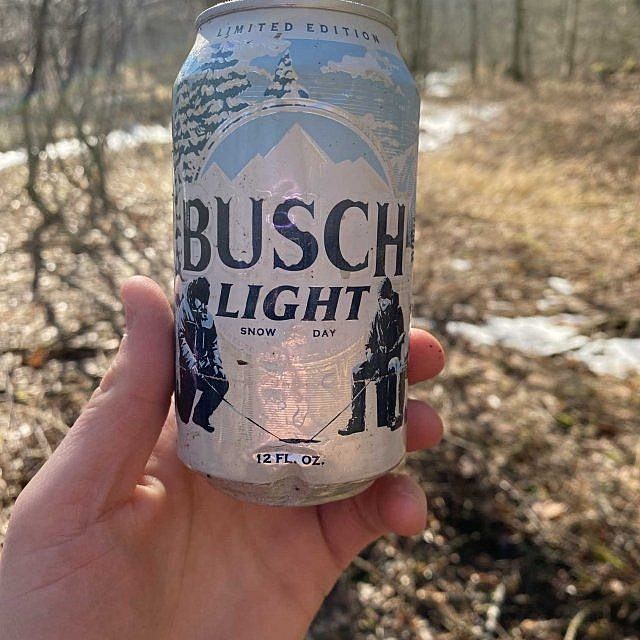 New Busch Page