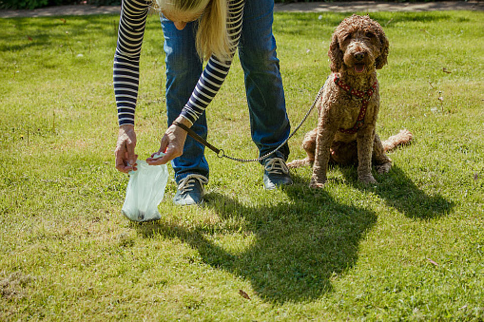 Dog Poop Links Suspect to Violent Armed Robbery