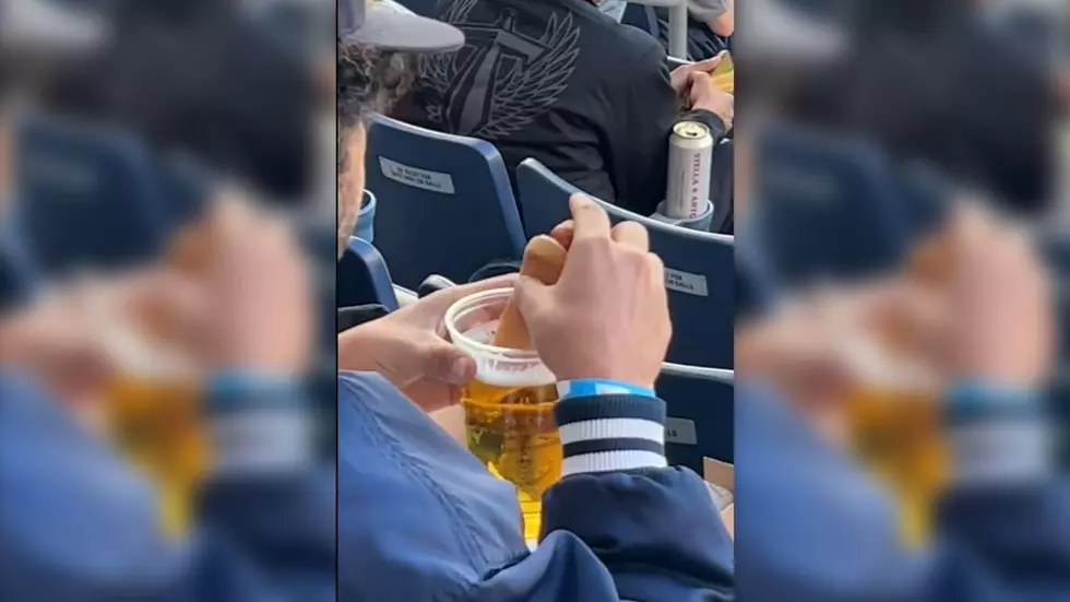 Should We Allow People Who Dip Hot Dogs in Beer To Walk Among Us?