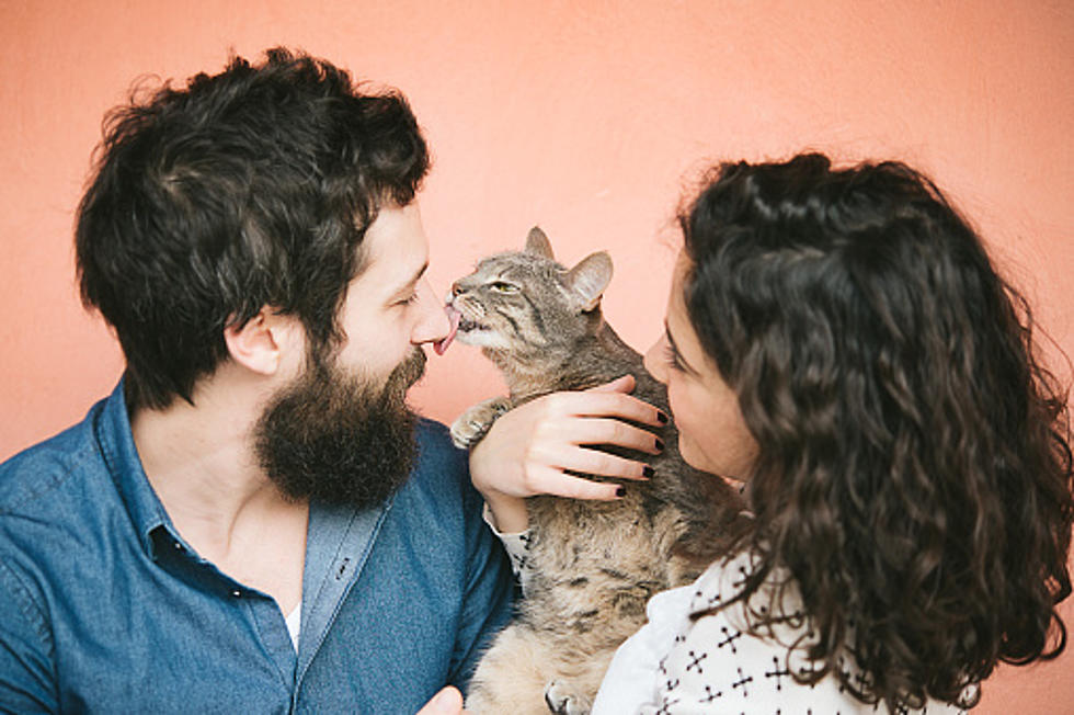 Science Says Cat Owners Are More Attractive and Have More Sex, Thanks to Parasite