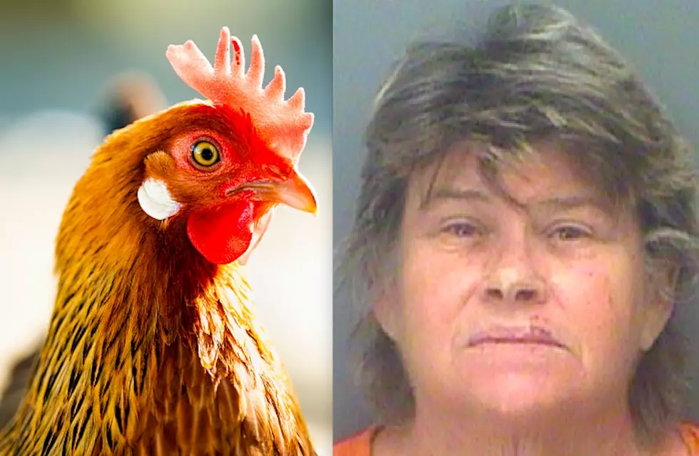 Florida Woman Hucks A Bucket Of Urine At Neighbor Over Chicken Dispute