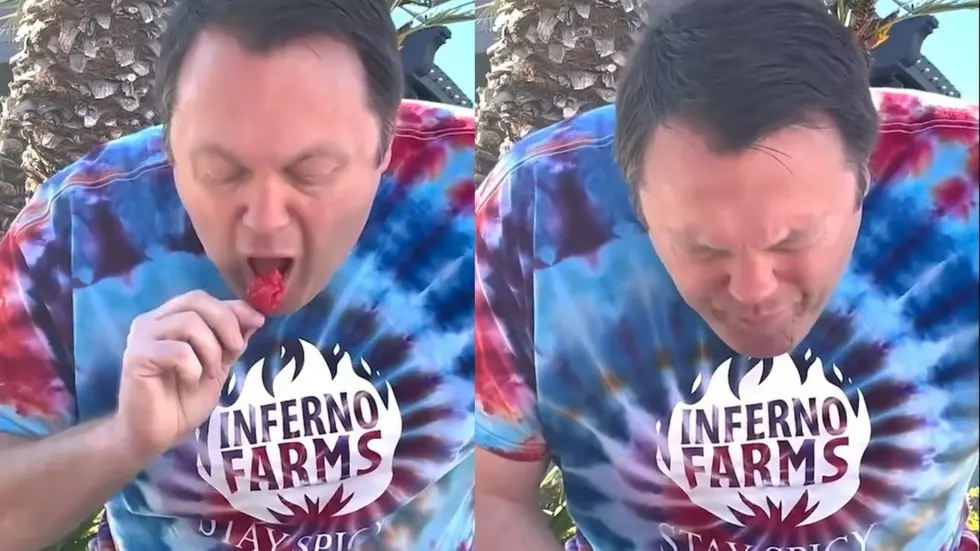 Man Eats Three Carolina Reaper Chilies In World Record Time