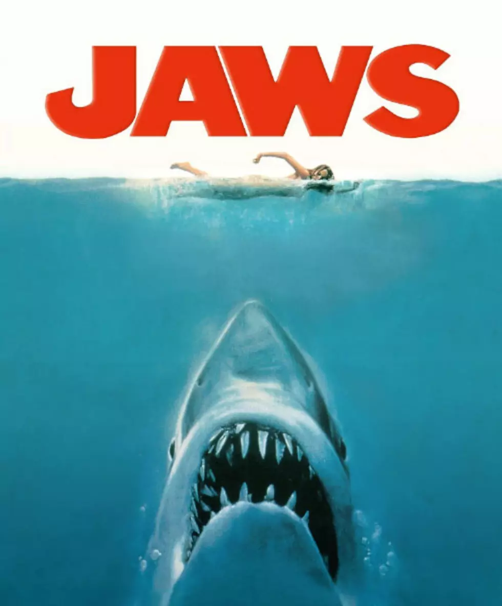 Watching &#8216;JAWS&#8217; While Actually Floating in Water?  Bad Idea.  Count Me In.