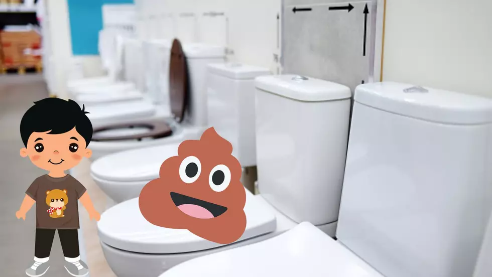 Little Kid Takes A “very big poo” in an appliance store’s display toilet