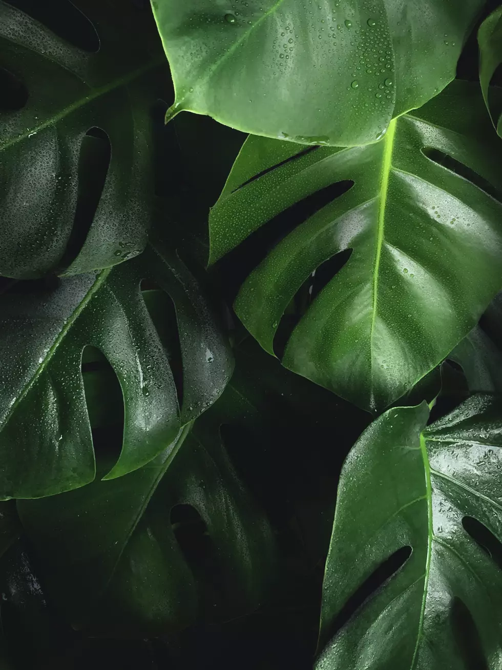 Photo by Bart Zimny on Unsplash