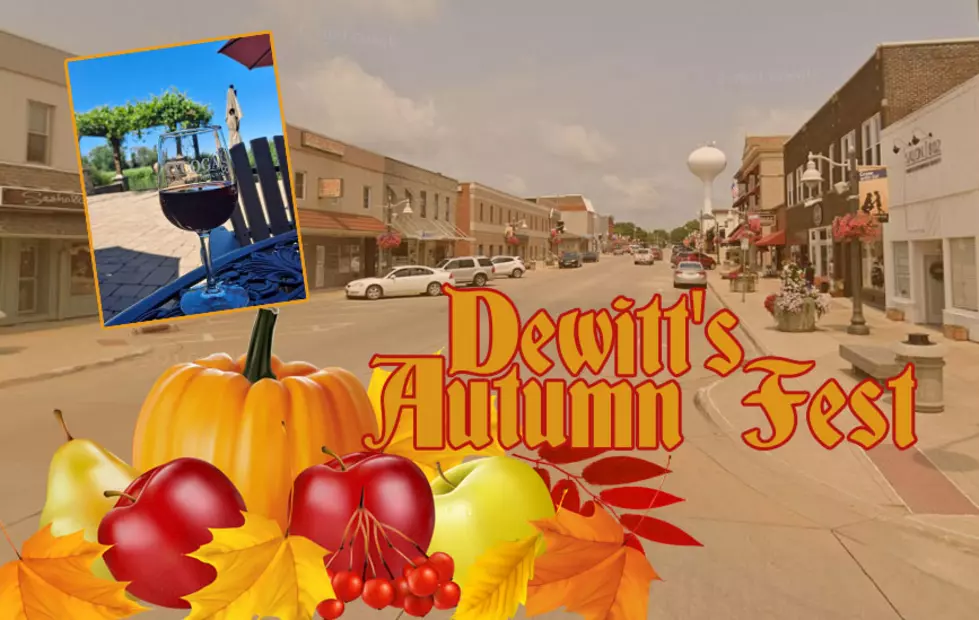 Dewitt Autumn Fest Looks to Show off Small Town Charm This Weekend
