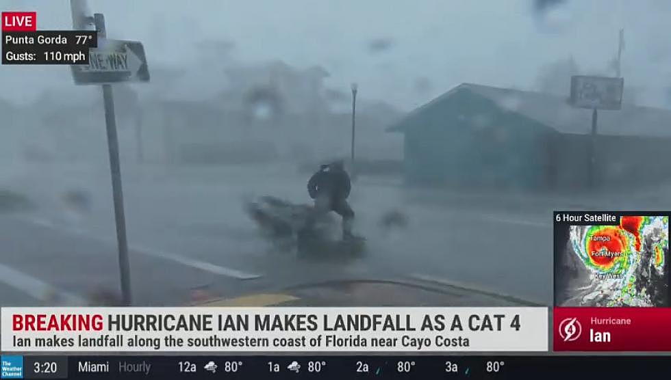 Jim Cantore Smacked By Stray Tree Branch, And Other Viral Hurricane Clips