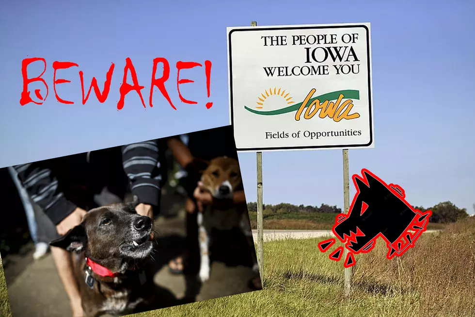 Iowa, If You See a Dog Wearing a Red Collar Leave Immediately