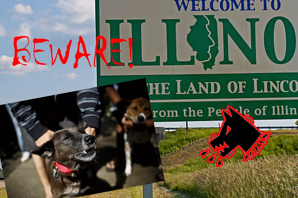 Illinois, If You See a Dog Wearing a Red Collar Leave Immediately