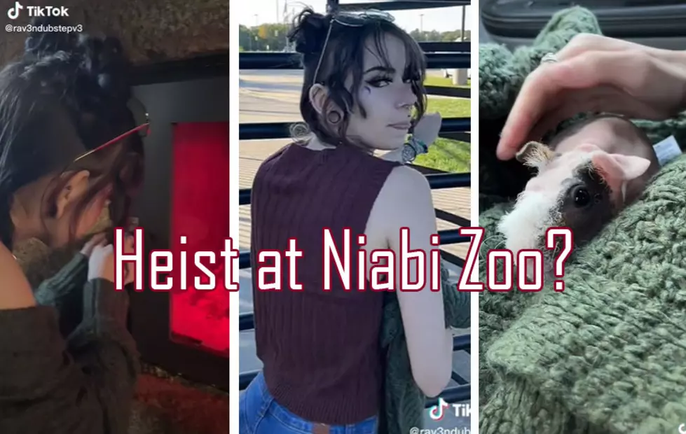 TikTok of Someone Stealing Animal from Illinois Zoo is Totally Fake