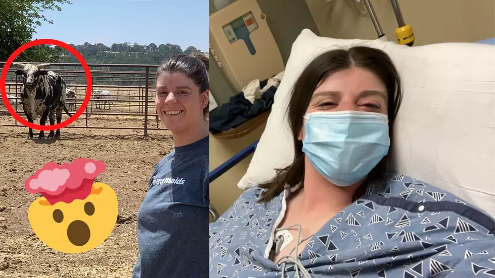 Rodeo Bull Tramples Woman And Saves Her Life After Discovery Of Cancer