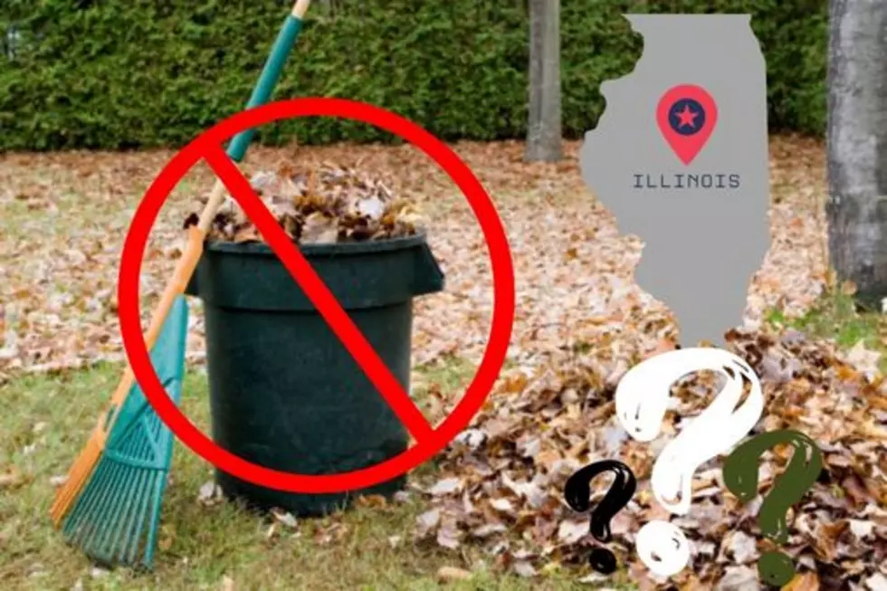 Is It Illegal In Illinois To Dispose Of Leaves In Garbage Cans?
