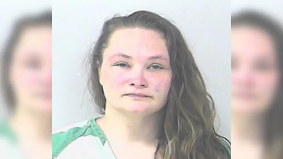 Florida Woman Busted in Domestic Fight Over Sex Toy