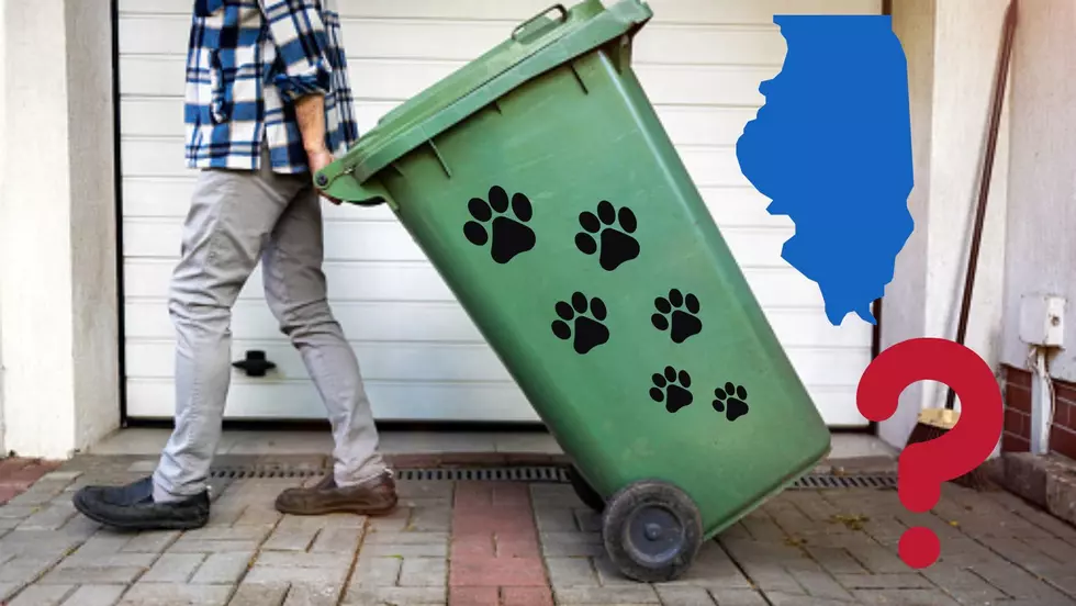 Is It Illegal In Illinois To Put Dead Animals In The Garbage?