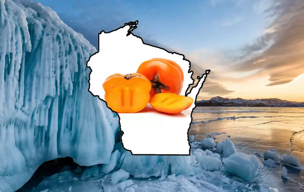 Snowy, Frigid, or Mild?  This Fruit Could Tell Wisconsin What To Expect This Winter