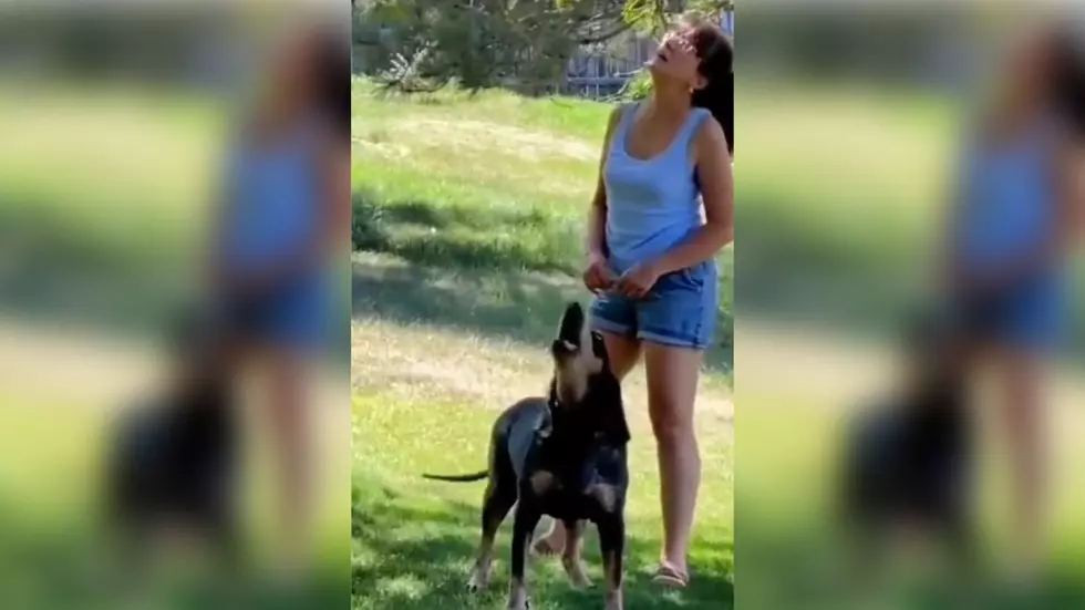 This Dog Is VERY Clearly Saying &#8220;Hello!&#8221;