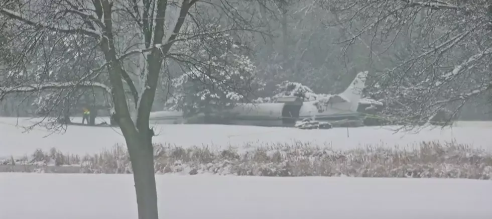 Plane Full Of Rescue Dogs Crashed On Wisconsin Golf Course