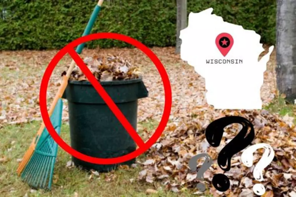 Is It Illegal In Wisconsin To Dispose Of Leaves In Garbage Cans?