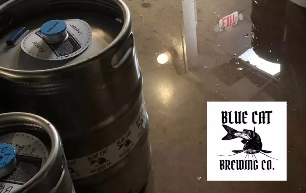 Nine Lives Not Enough for Blue Cat Brewing Co. in Rock Island, Illinois