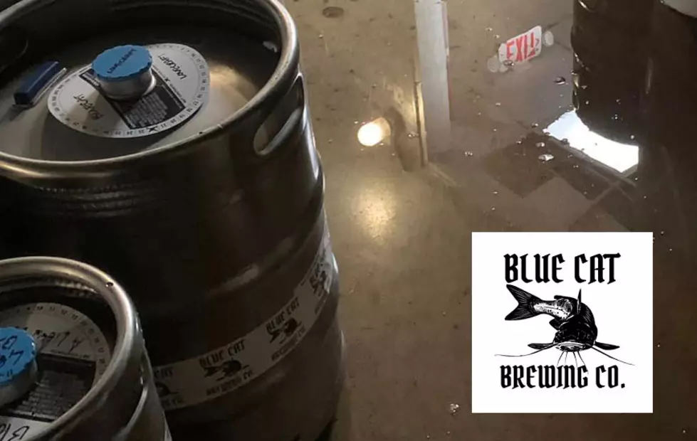 Nine Lives Not Enough for Blue Cat Brewing Co. in Rock Island, Il