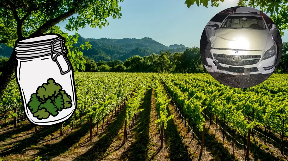 Most California Chase Ever Involves Solar Panels, Pot, and Wine Country