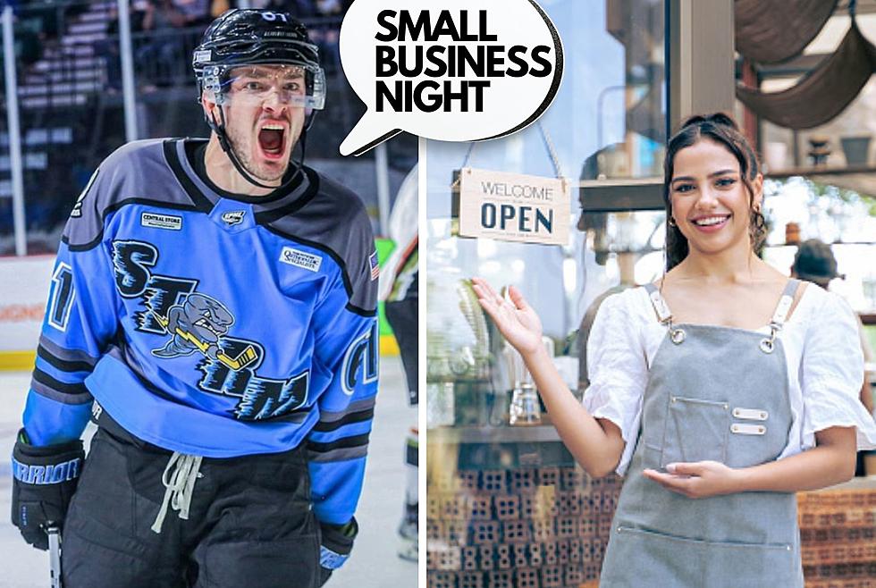 Celebrate Small Business Night At A Hockey Game In Illinois