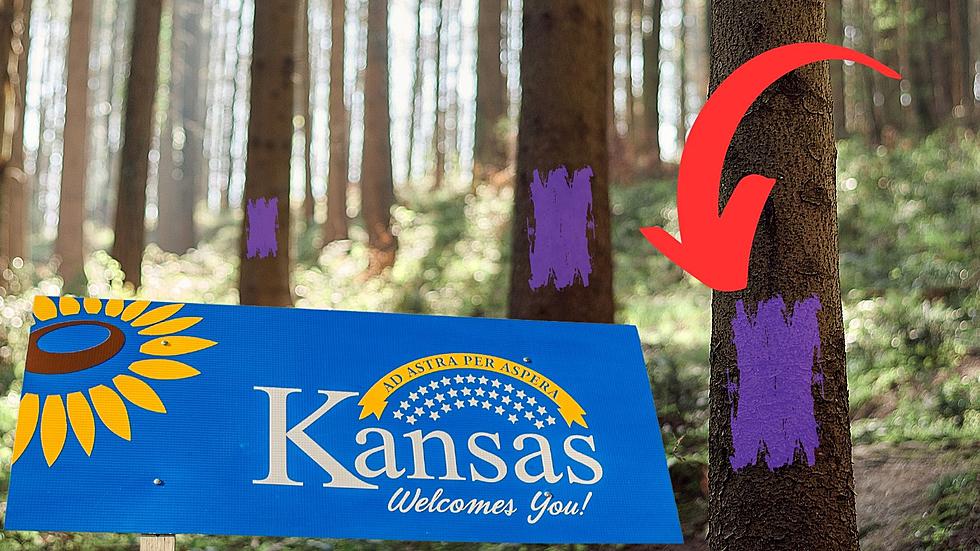 If You See Purple Paint In Kansas, You Need To Leave Immediately