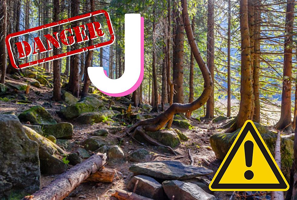 If You See J-Shaped Trees In Illinois Stay Alert For Danger