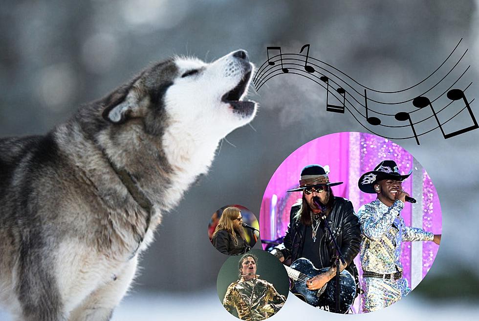 These Are The Top 8 Songs That Dogs In Iowa Will Howl Along To