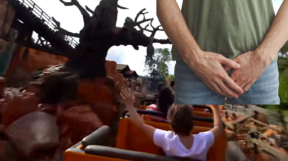Apparently This Disney Ride Will Help You Pass A Kidney Stone