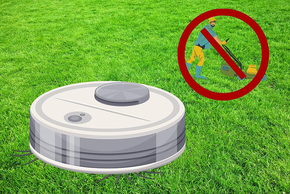 New AI Powered Lawn Mower Cuts Grass And Fertilizes Lawn