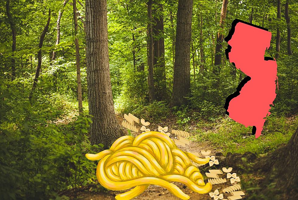 Hundreds of Pounds of Cooked Pasta Found in New Jersey Woods