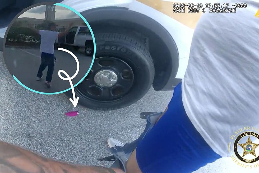 Pink Vibrator Falls Out Of Florida Man’s Pants While Getting Arrested