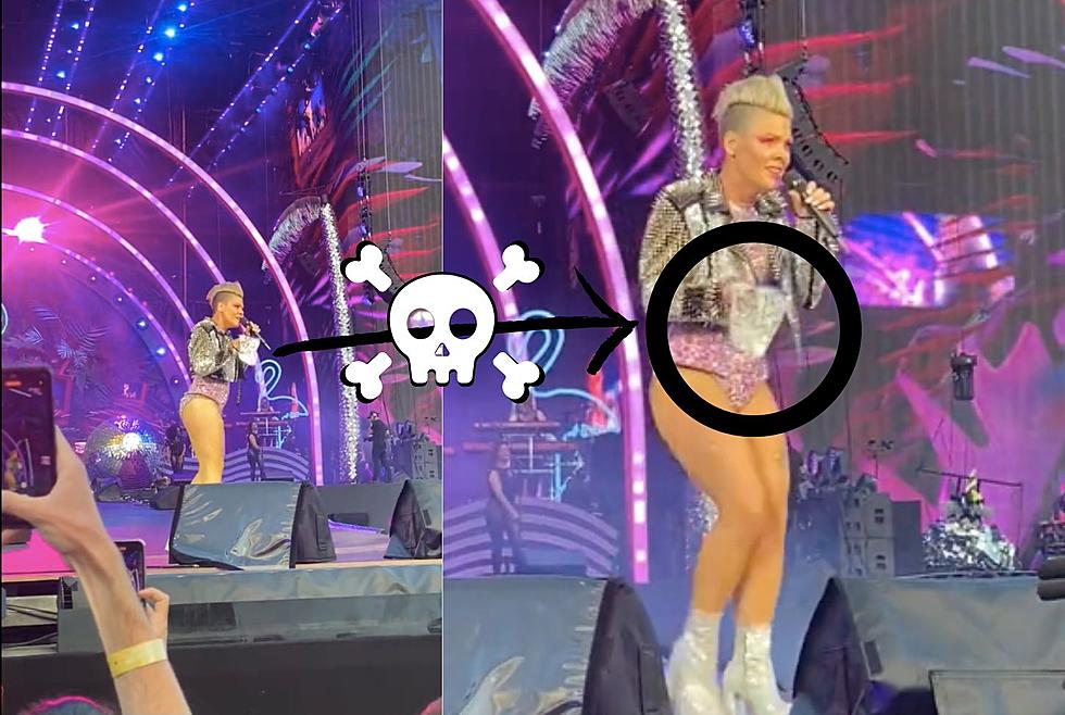 Chicago Fan Throws Mother’s Ashes On Stage At Pink Concert