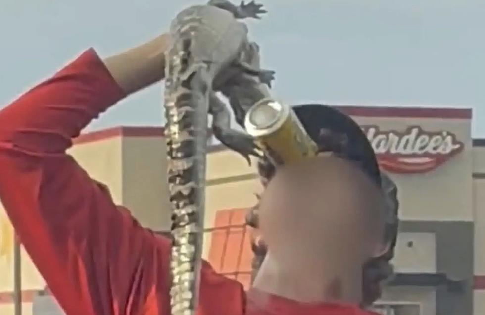 Florida Teen In Trouble After Using Baby Gator To Shotgun Drink