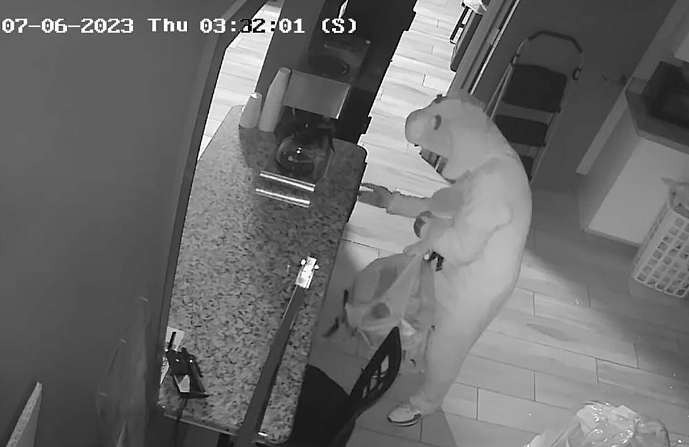 Perp In A Bunny Suit Robbed Quincy Laundromat Overnight