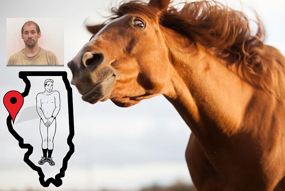 Illinois Man Arrested Again With Genitals Exposed Near Horses