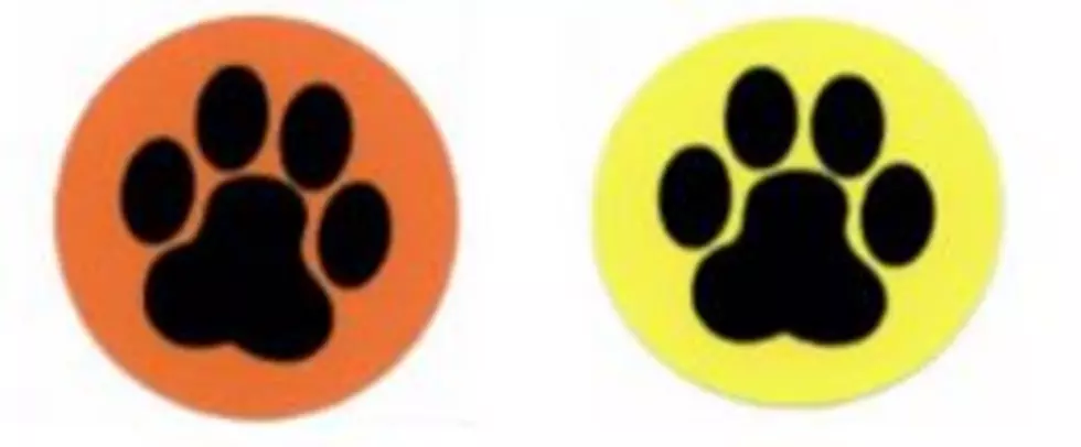 Yu, Daniel Y - Washington, DC - Contractor/USPS Dog Paw Program Sticker